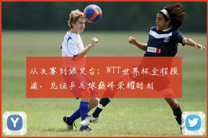 从决赛到颁奖台：WTT世界杯全程报道，见证乒乓球巅峰荣耀时刻