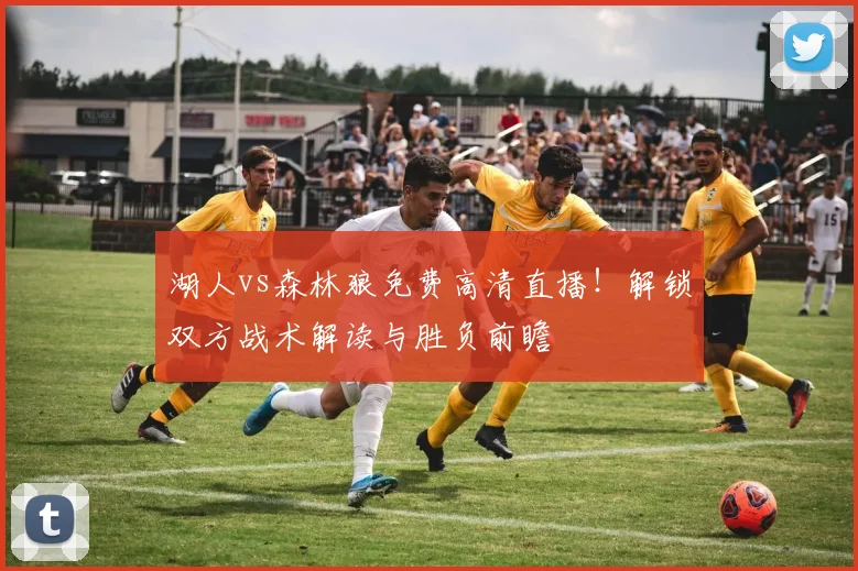 湖人vs森林狼免费高清直播!解锁双方战术解读与胜负前瞻