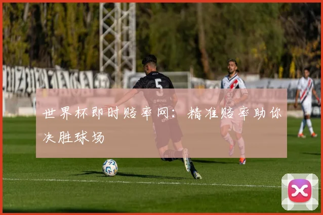 世界杯即时赔率网：精准赔率助你决胜球场