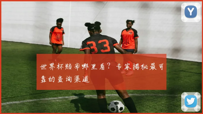 世界杯赔率哪里看？专家揭秘最可靠的查询渠道
