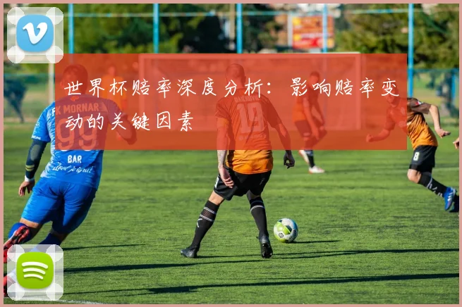 世界杯赔率深度分析：影响赔率变动的关键因素