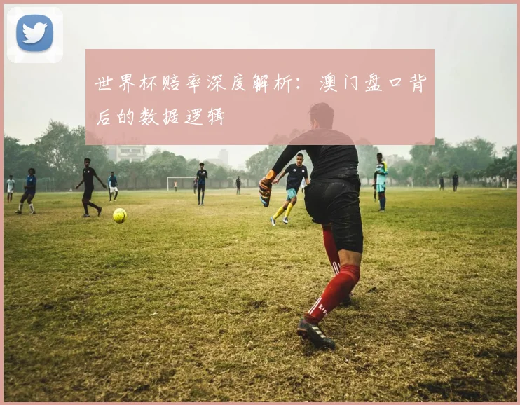 世界杯赔率深度解析：澳门盘口背后的数据逻辑