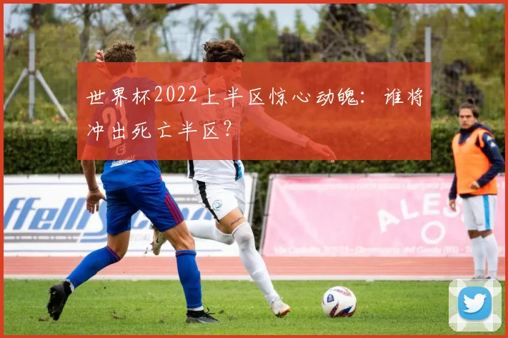 世界杯2022上半区惊心动魄:谁将冲出死亡半区?