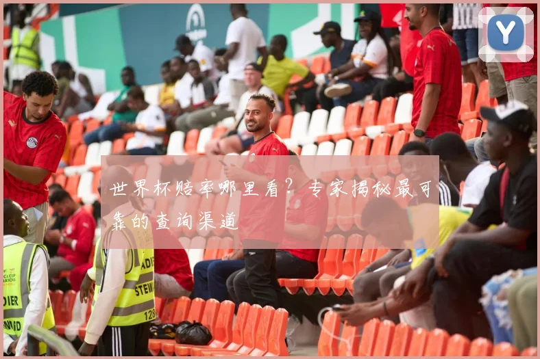 世界杯赔率哪里看？专家揭秘最可靠的查询渠道