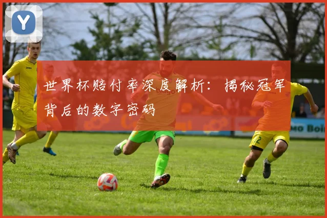 世界杯赔付率深度解析：揭秘冠军背后的数字密码