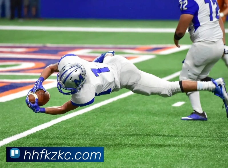 九游网页版入口网址发展历程